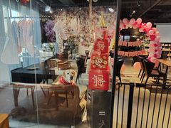 门面-百好乐宠物友好餐厅(朝外大街店)