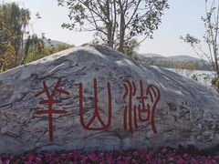 -羊山湖公园