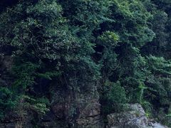 -志闽龙门漂流