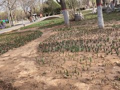 -石家庄市植物园