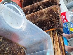 -红土地(地铁站)