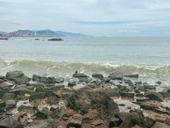 -小麦岛公园