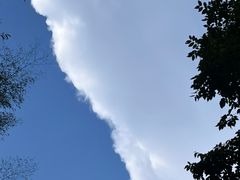 -炎陵县神农谷国家森林公园