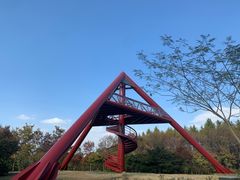 -贡湖湾湿地公园