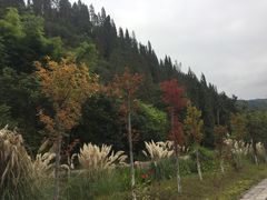 -月亮湾景区
