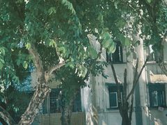 -Reset Coffee 与海咖啡
