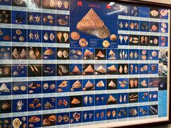 -天津古林古海岸遗迹博物馆