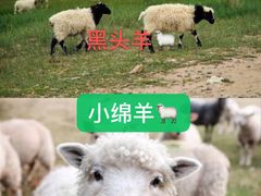 -大地中央广场