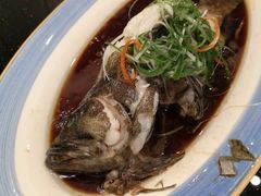 清蒸石斑鱼-高老庄新家宴(北斗星广场店)