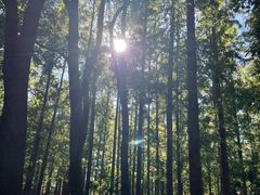 -上海交通大学(闵行校区)