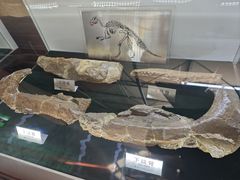-诸城市恐龙博物馆