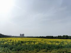 -汉长安城未央宫国家考古遗址公园