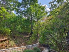 -北京西山国家森林公园