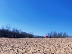 -东郊湿地公园