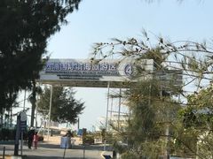 -西涌国际滨海旅游区