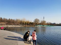 -大兴滨河森林公园