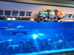 -成都浩海立方海洋公园