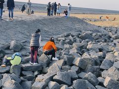 -南汇嘴观海公园