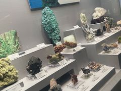 -湖南省地质博物馆