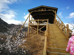 -大岭沟猕猴桃谷风景区