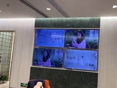 -海马体照相馆(环贸iapm大师爱情店)
