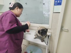 -酷宠动物医院(天通西苑店)