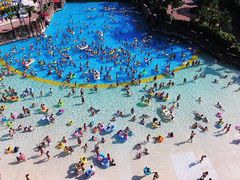 -重庆海昌加勒比海水世界
