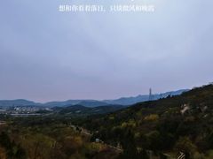 -白水寺森林公园