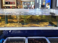 -渔乐圈海鲜餐厅(群力金江路店)