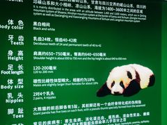 -海南热带野生动植物园