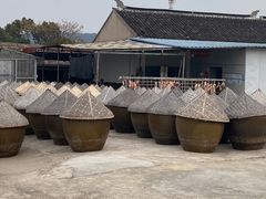 -苏州市吴中区光福窑上花果蜜饯厂