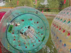 -北陵公园