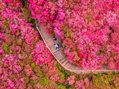 -木兰云雾山