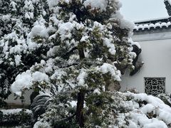 -八大山人梅湖景区