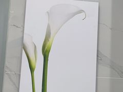 -福奈特洗衣洗鞋(宝华广场店)