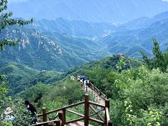 -大岭沟猕猴桃谷风景区