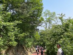 -敬亭山风景名胜区