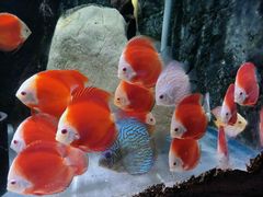 -石林冰雪海洋世界