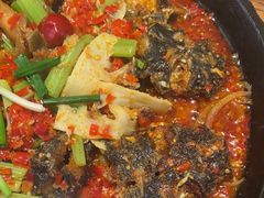 -老板恋上鱼(恒隆广场店)