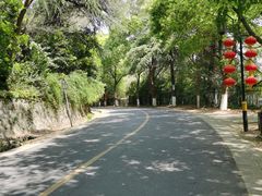 -镇江市南山风景名胜区竹林景区