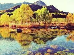 -永定河休闲森林公园