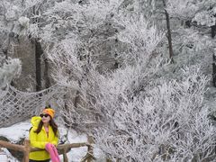 -洛阳白云山景区