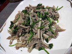 芫爆散丹-燕春楼(海河华鼎店)