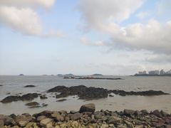 -野狸岛