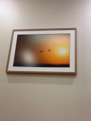 -北京米扬丽格医疗美容·联合丽格鼻整形中心