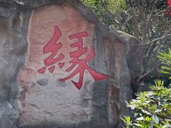 -杭州黄龙洞