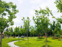 -上海长兴岛郊野公园