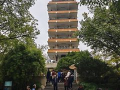 -鹅岭公园瞰胜楼