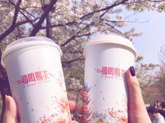 -鸡鸣赐茶(鸡鸣寺路店)