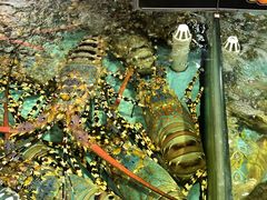 -渔民新村(番禺总店)